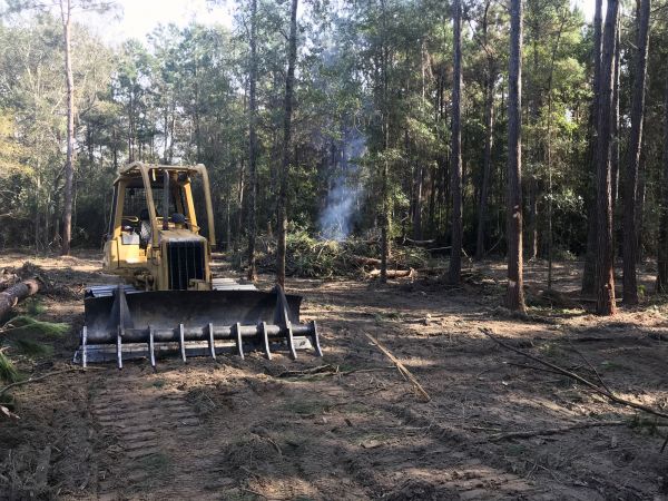 Wausau Land Clearing