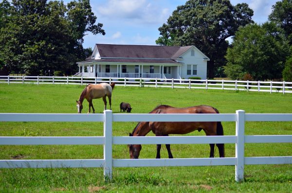 Wausau Fence Service